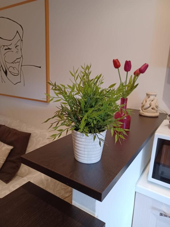 شقة Portonhouse روما المظهر الخارجي الصورة